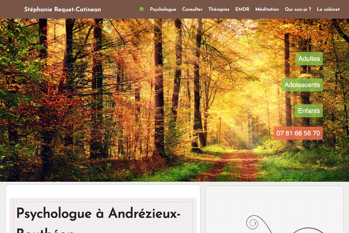 Aperçu du site Stéphanie REQUET-CATINEAN